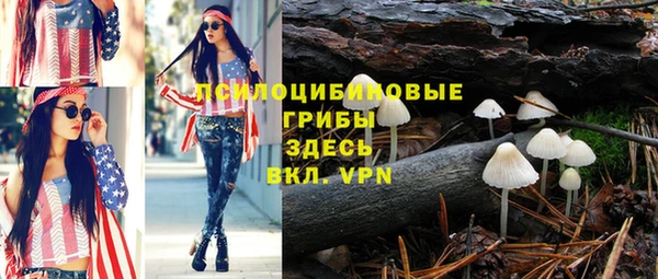 бошки Абинск