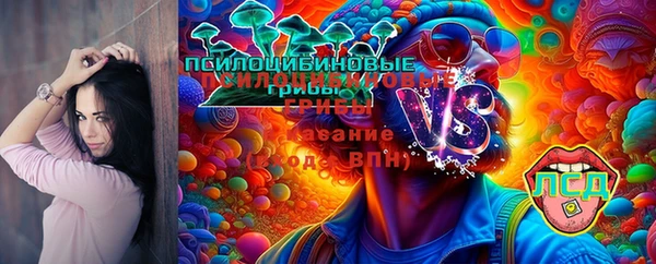 винт Протвино
