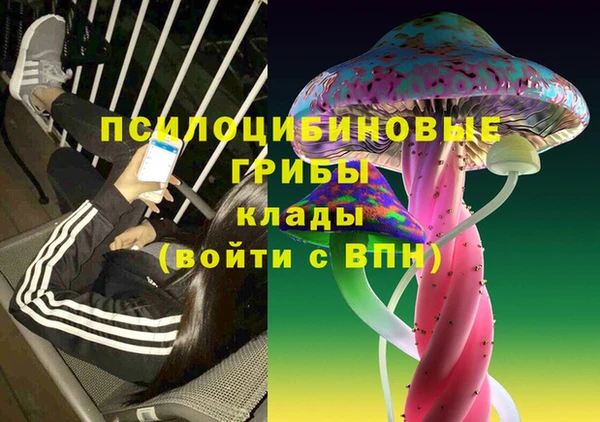 spice Абаза
