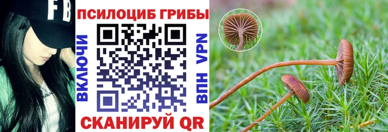 Галлюциногенные грибы Cubensis  Лысково 